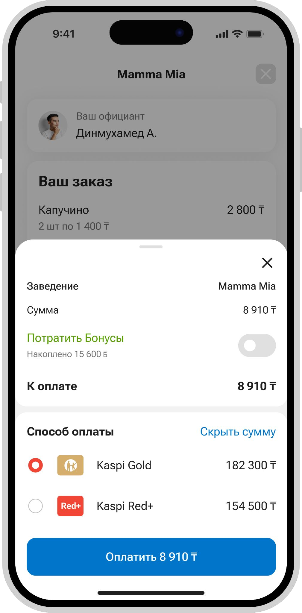 Оплачивает